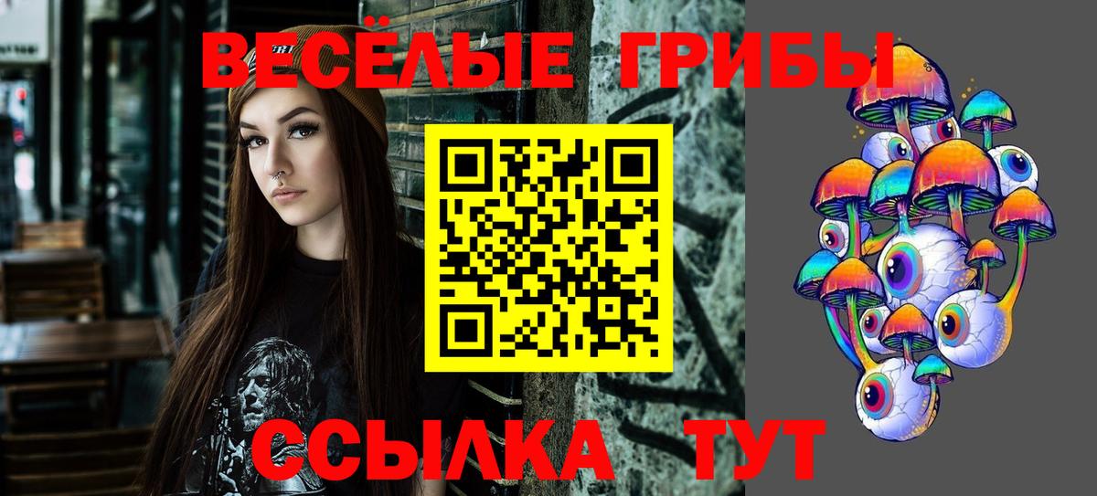 Псилоцибиновые грибы Cubensis  закладки  Галлюциногенные грибы Cubensis  Братск  Вход с VPN 